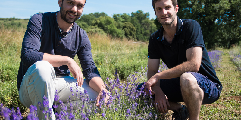 Autour des Plantes